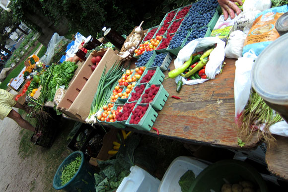 Farmers' Organic Market