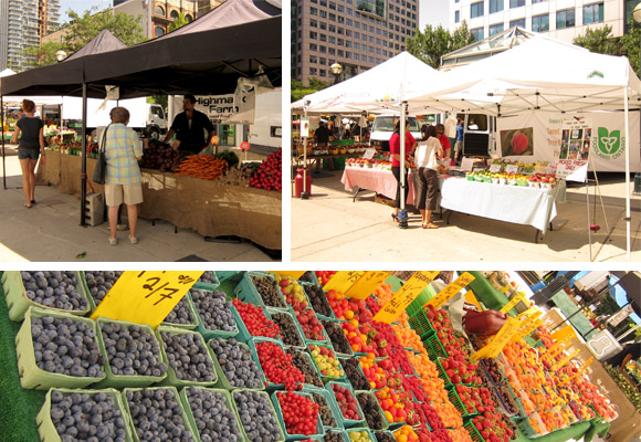 Metro Hall Farmer's Market