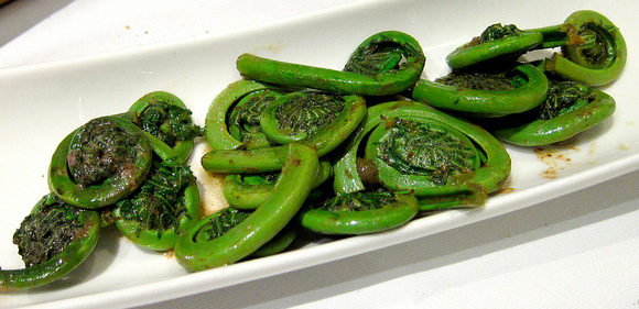 Fiddleheads