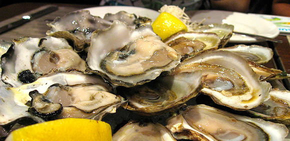 Oysters